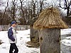 hive -46.jpg hive -46.jpg
